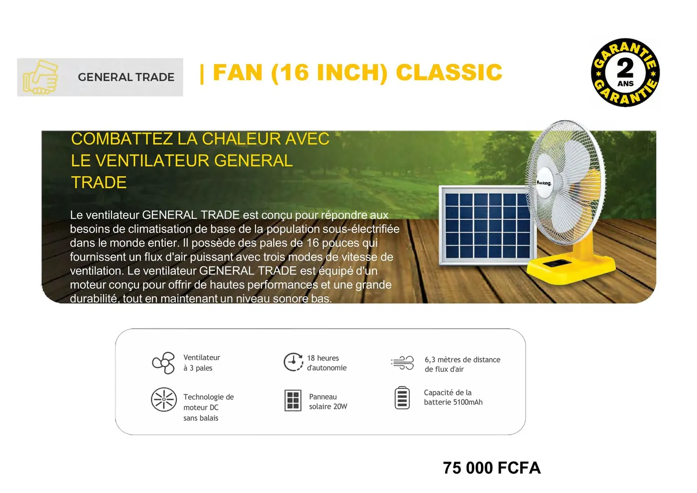 Fan 16 Inch Classic